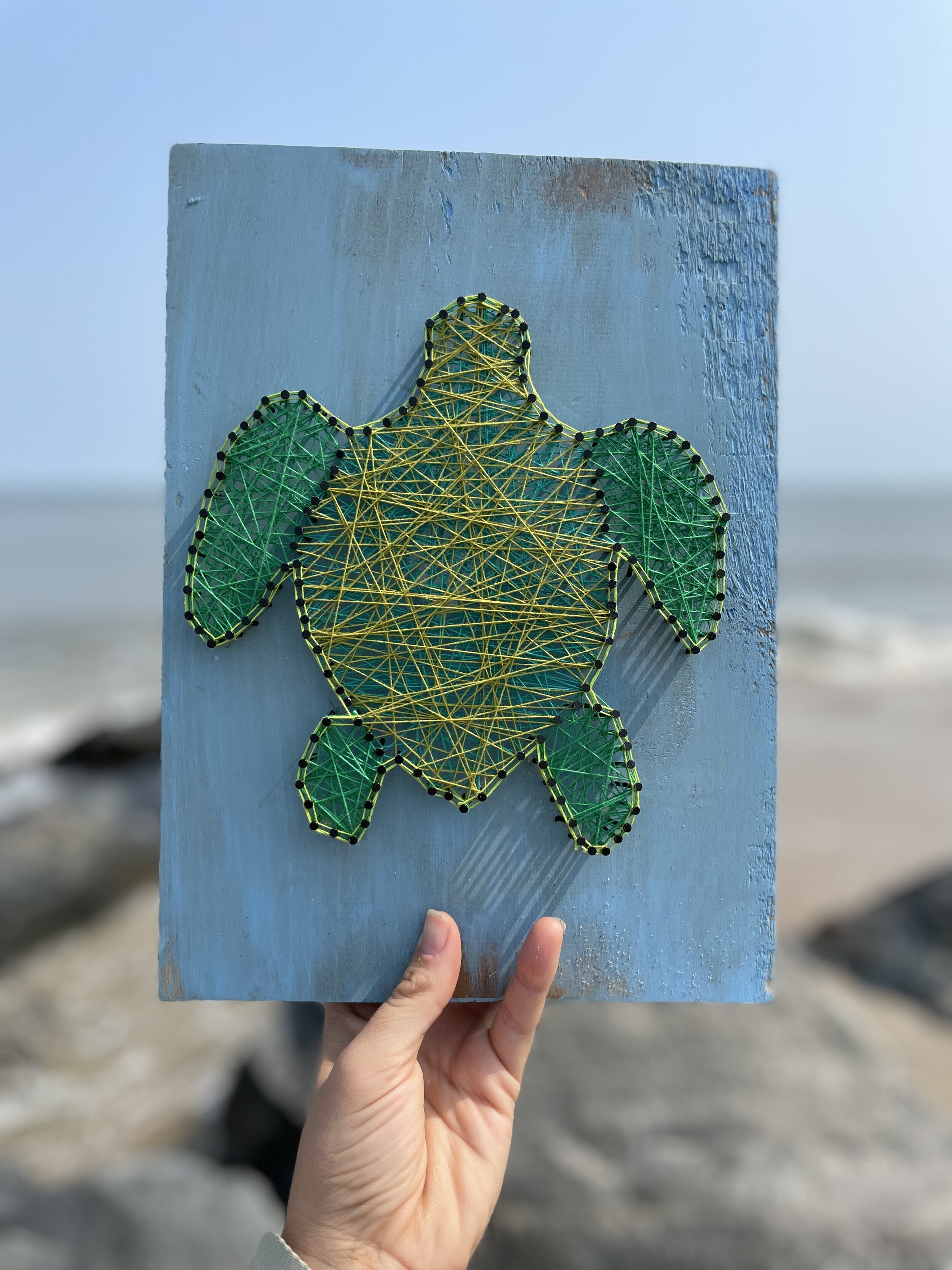 Turtle String Art