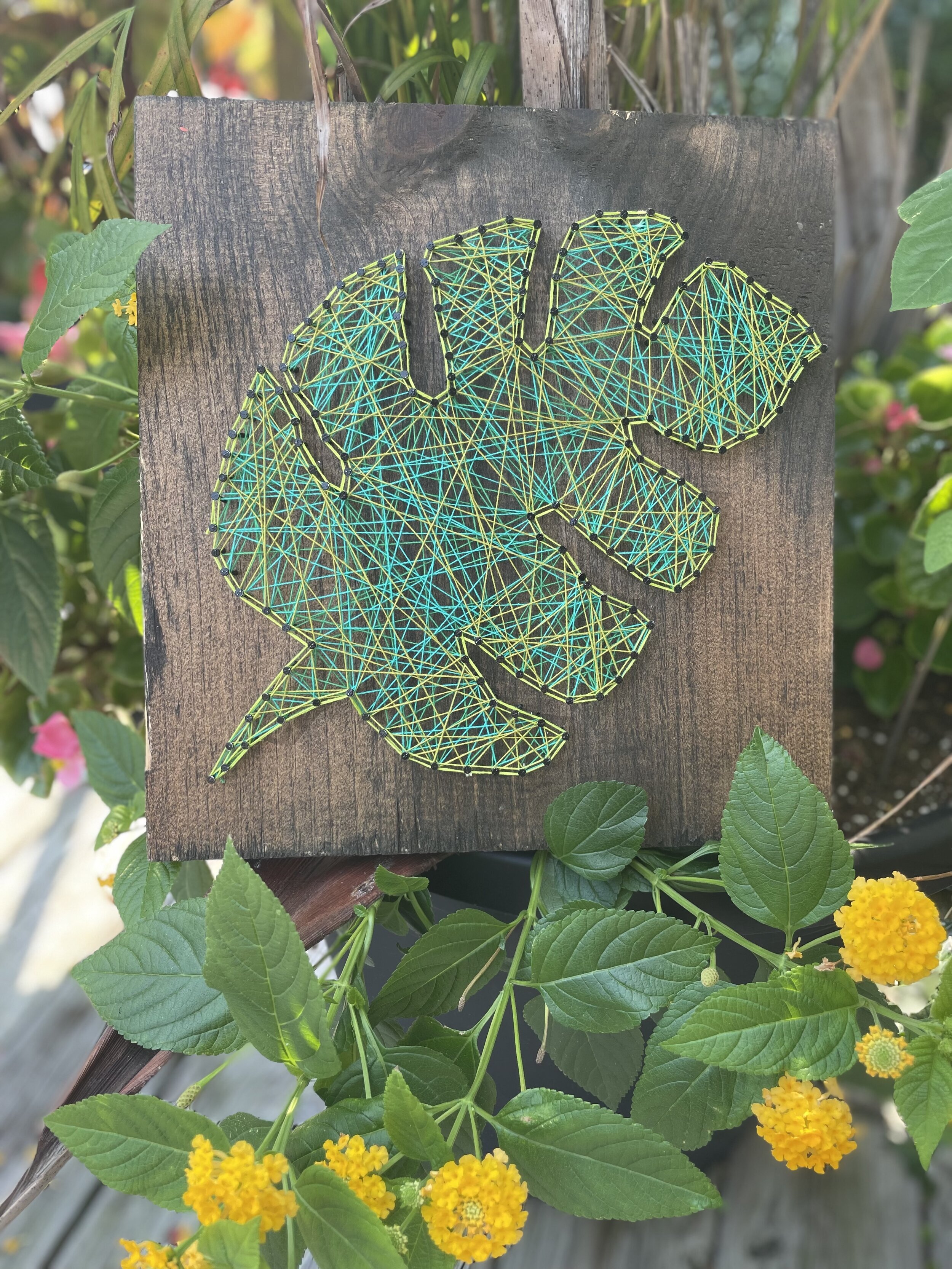 Monstera Leaf String Art