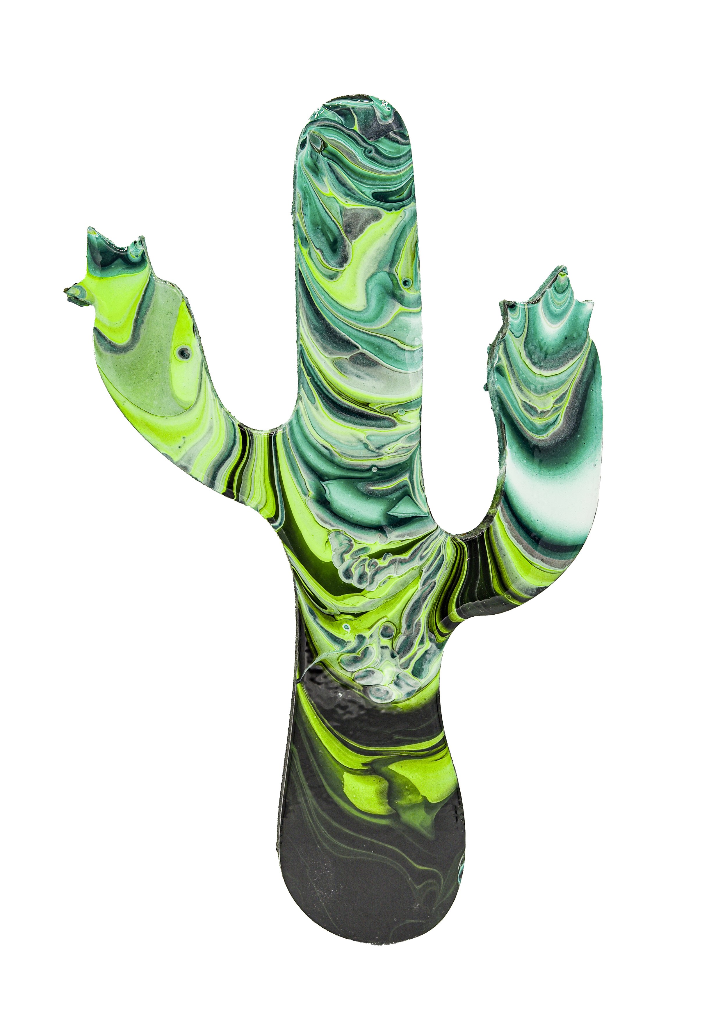 Cactus.jpg